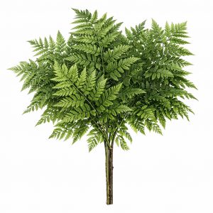 Папоротник (1 лист)