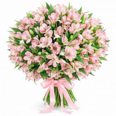 Монобукет альстромерий «Розовый Вальс»