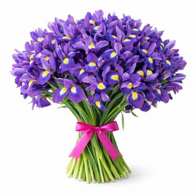 Монобукет ирисов «Лиловый вальс»