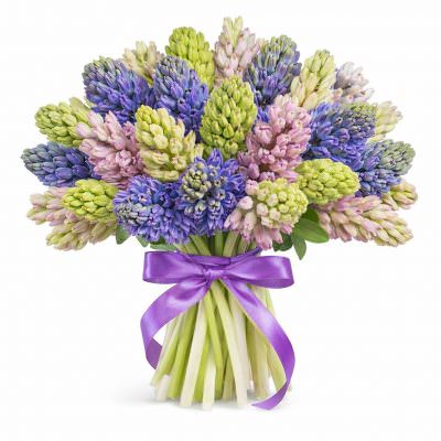 Гиацинт микс 3