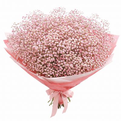 Букет из гипсофил «Нежный бриз»