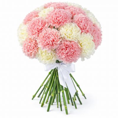 Гвоздика микс 2