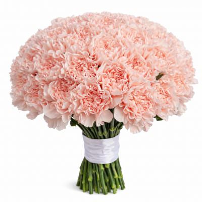 Гвоздика светло розовая