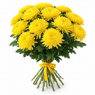 Хризантема одноголовая желтая