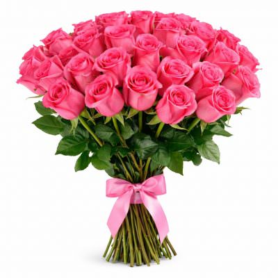 Розы Эквадор Pink Floyd