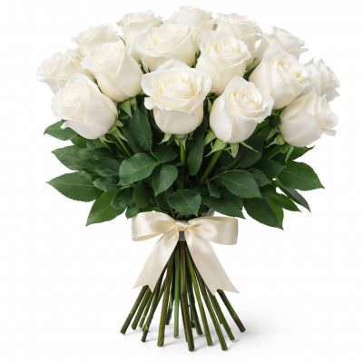 Розы Кения белые