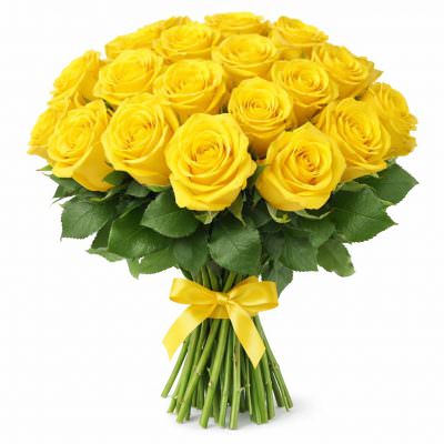 Розы Кения желтые