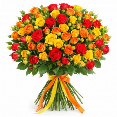 Розы Кустовые микс 4