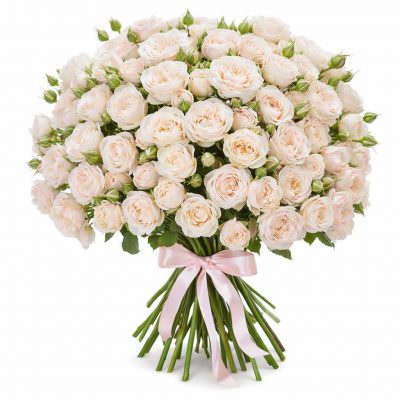 Розы Пионовидные белые