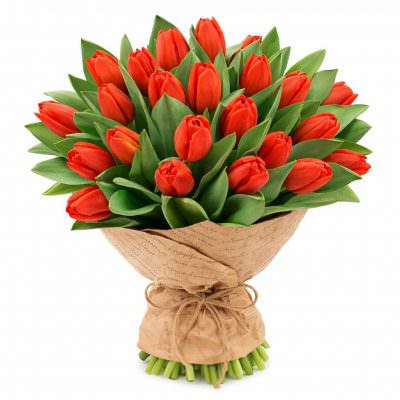Тюльпаны красные