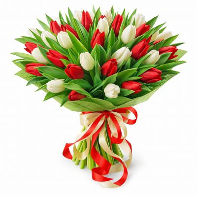 Тюльпаны микс 1