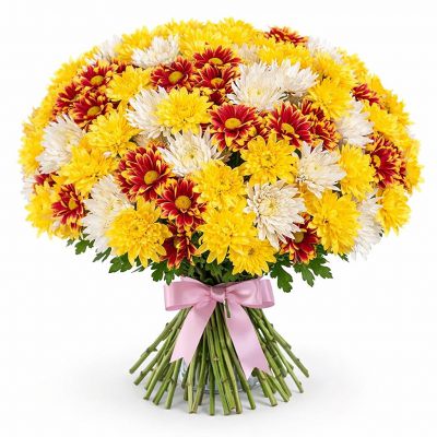 Хризантема кустовая микс 3