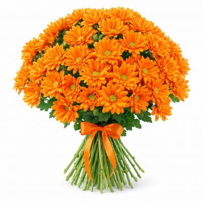 Хризантема кустовая оранжевая