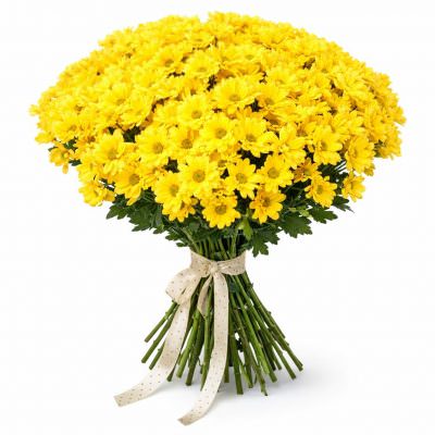 Ромашка желтая