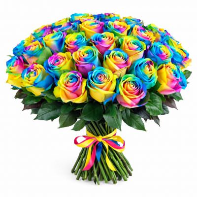 Розы Эквадор радужные