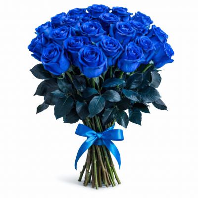 Розы Кения синие