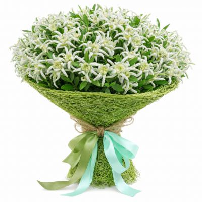 Букеты с эдельвейсами