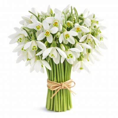Букет с подснежниками «Снежный Вальс»