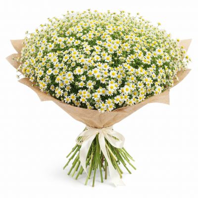 Букет с ромашками «Дачный рассвет»