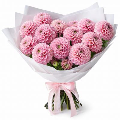 Букет розовых георгин «Лепестковая грация»