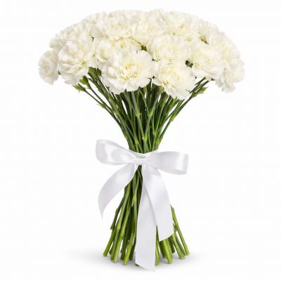 Диантус белый