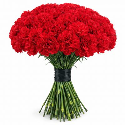 Диантус красный