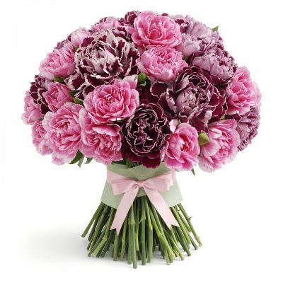 Диантус микс 3