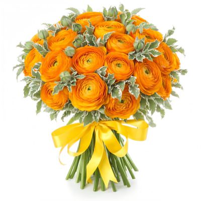 Ранункулюс оранжевый