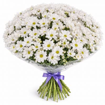 Букет из кустовых хризантем «Белоснежные грёзы»