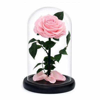 Роза в колбе нежно-розовая