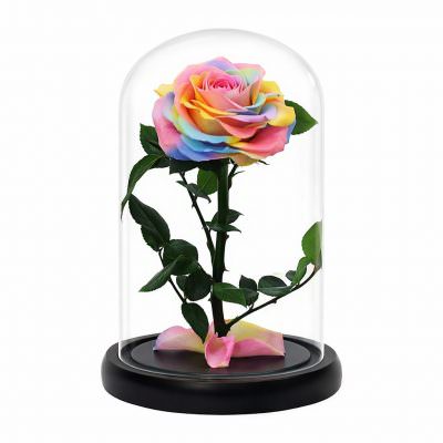 Роза в колбе радужная