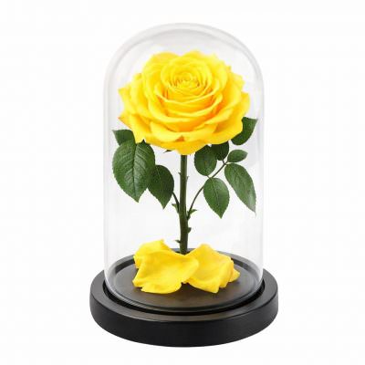 Роза в колбе желтая