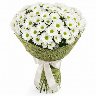 Букет из белых хризантем «Чистый шарм»