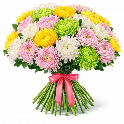Хризантема одноголовая микс 4
