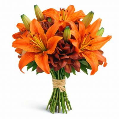 Лилия тигровая