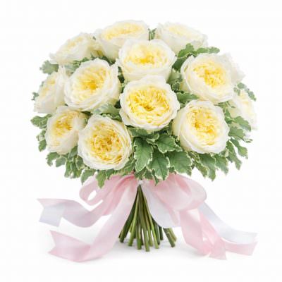 Розы Пионовидные одноголовые белые